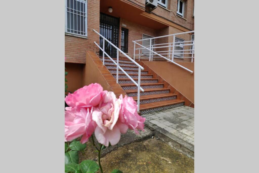 Alquiler Vacacional Carlos III Córdoba Exterior foto